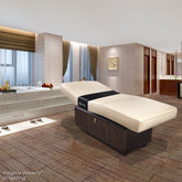 Living Earth Crafts INSIGNIA 2.0 WAVERLY™ Multi-Purpose Treatment Table w/Replaceable Mattress