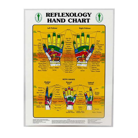 Foot & Hand Reflexology Chart
