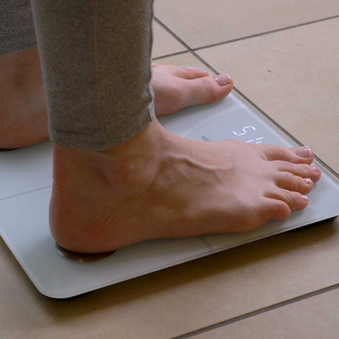 Life Balance Body Fat Smart Scale