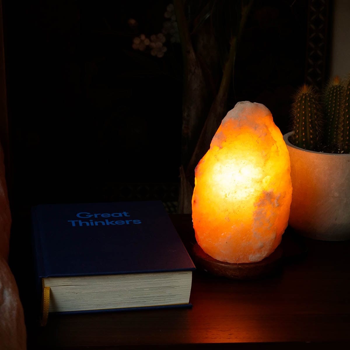 Amber Himalayan Salt Lamps (Various Sizes 1.5kg - 22kg)