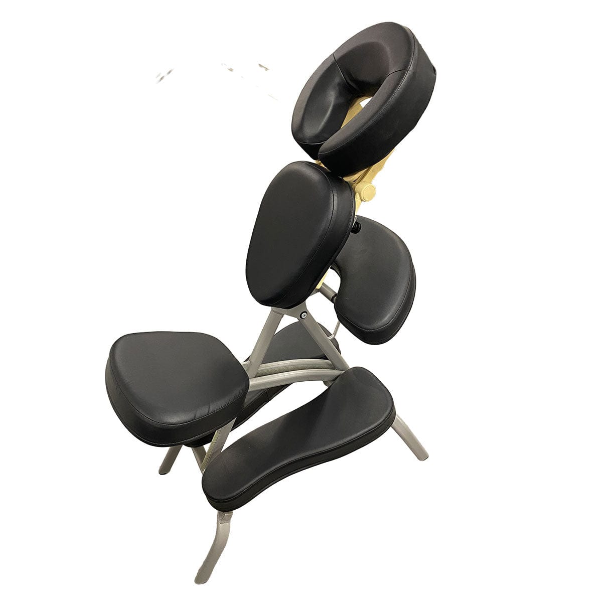 Pro Lite II On Site Portable Massage Chair Package