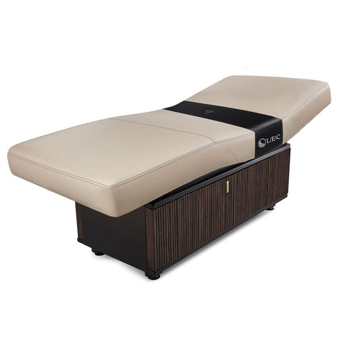 Living Earth Crafts INSIGNIA 2.0 WAVERLY™ Multi-Purpose Treatment Table w/Replaceable Mattress