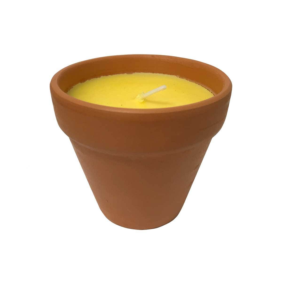 Peppermint Citronella Infused Candle In a Terracotta Pot Prepack of 12