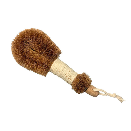 Coconut Wet n' Dry Brush Mini