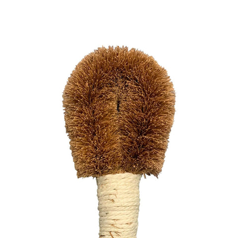 Coconut Wet n' Dry Brush Mini