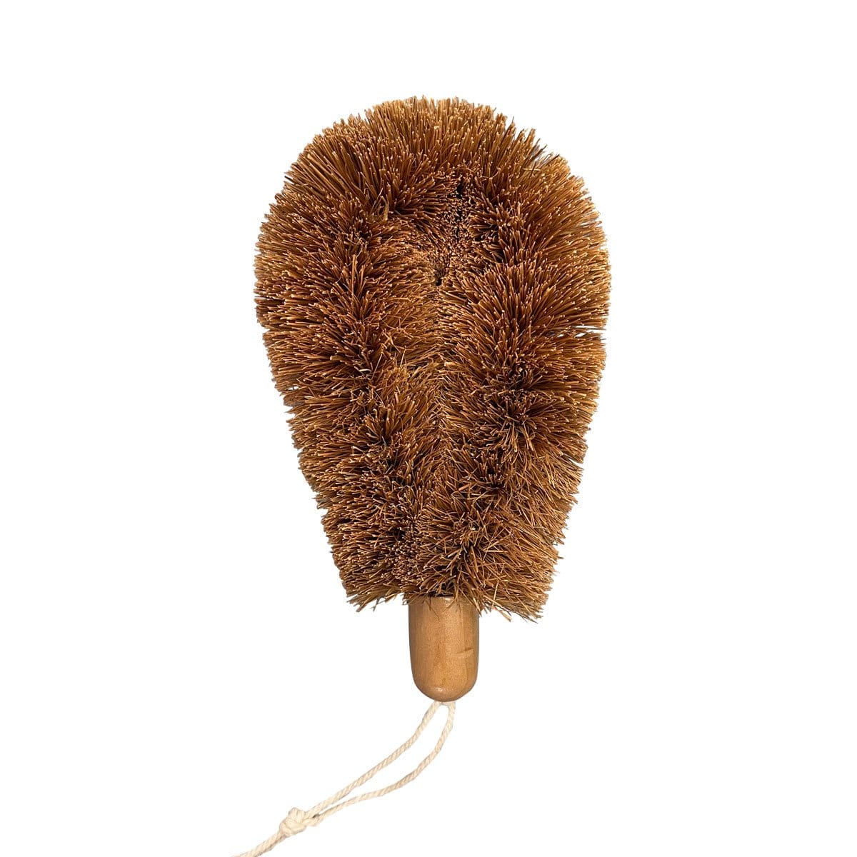 Coconut Wet n' Dry Brush Mini