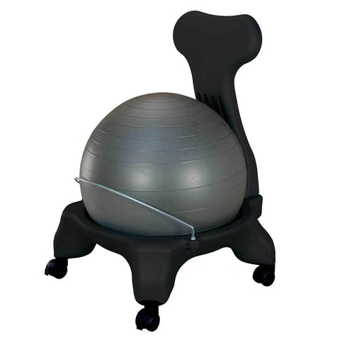 Ball Chair with Back Support