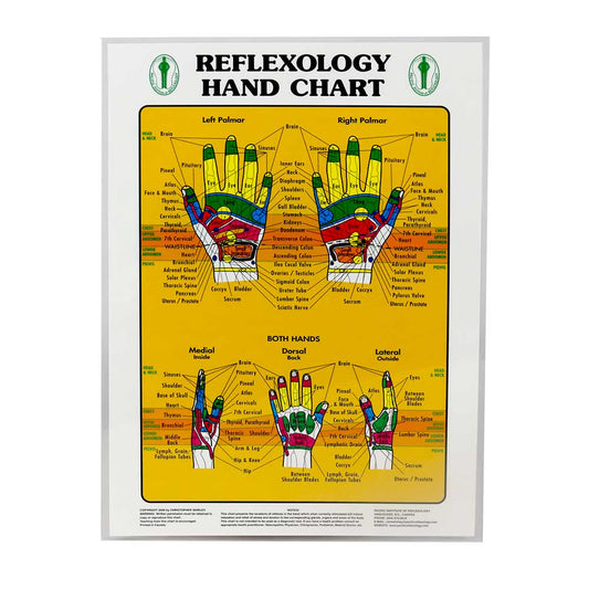 Foot & Hand Reflexology Chart