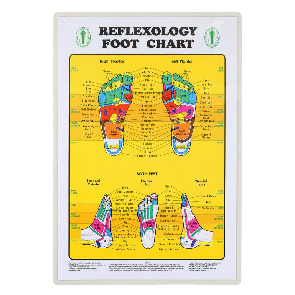 Foot Reflexology Chart Relaxus
