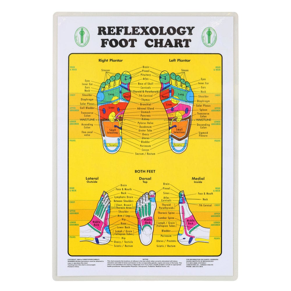Foot Chart Foot Reflexology Chart | Reflexology Chart | – Relaxus Professional